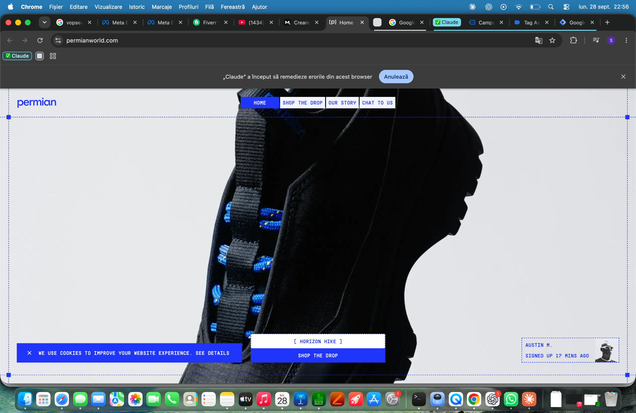 Permian website: black sneaker on a light background